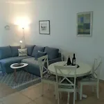 Galboka Nine *