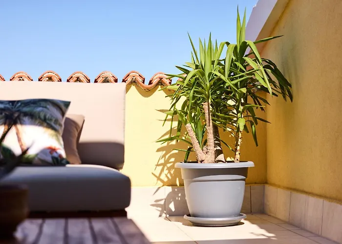 Apartman Galboka Nine