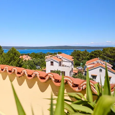 Daire Galboka Nine *