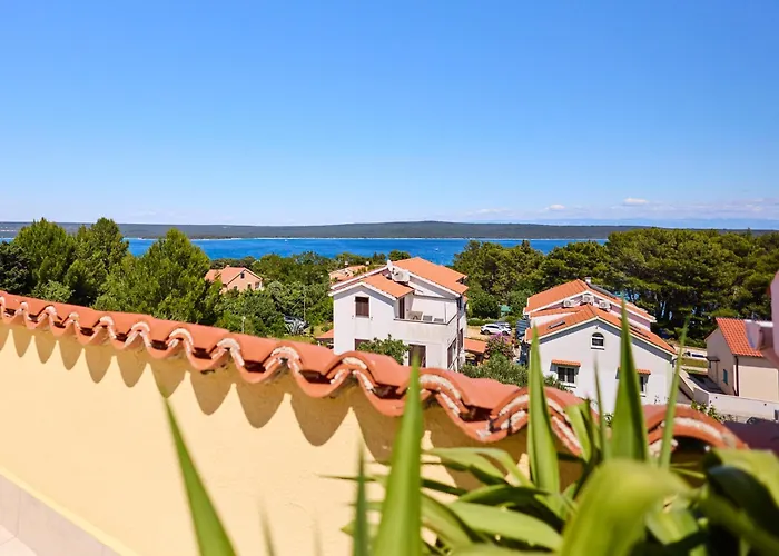 Daire Galboka Nine *