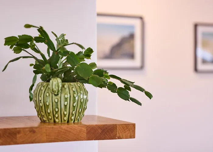 Galboka Nine * Nerezine