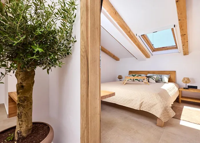 Daire Galboka Nine Nerezine